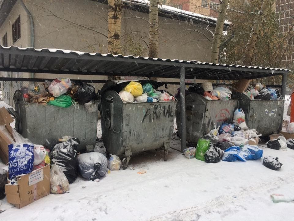 Почему мусорные баки — главный кошмар вашего двора