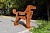Скульптура «Dog»