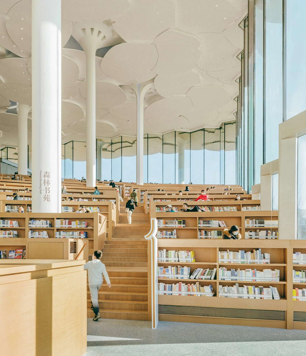 Snøhetta создаёт библиотеку "под сводом деревьев"