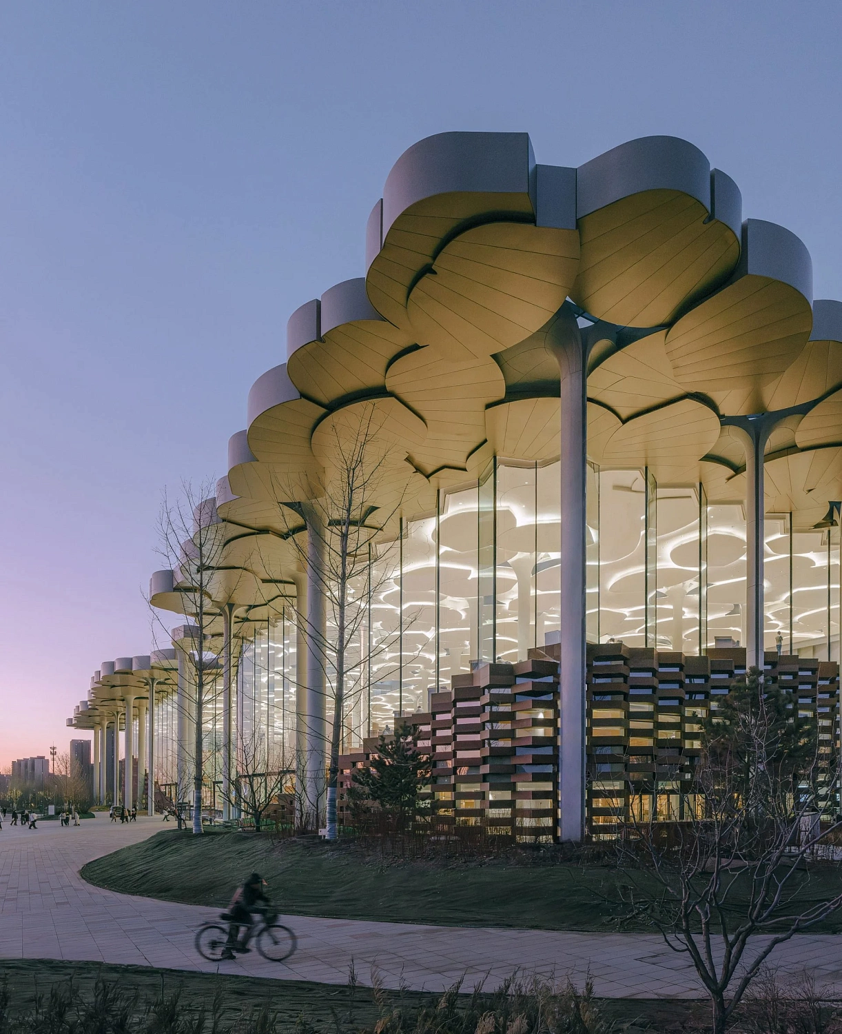 Snøhetta создаёт библиотеку "под сводом деревьев"